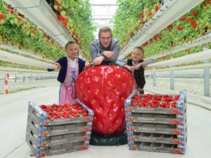 Obstbauer mit seinen Kindern im Erdbeer-Gewächshaus